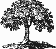 Flagon Press tree logo